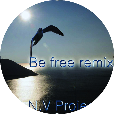 DNV Project