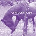 On a Pale Horse