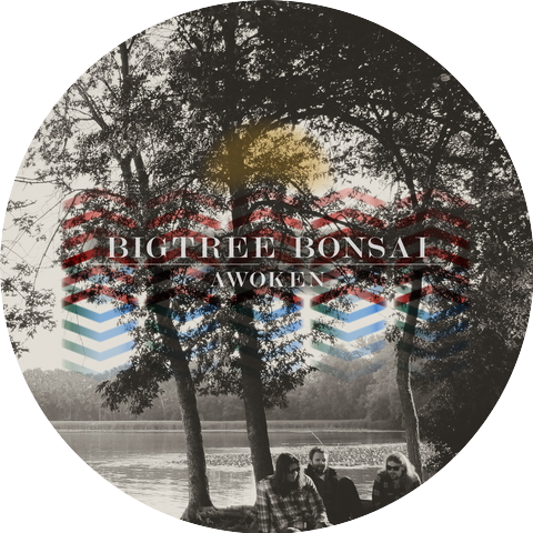 Bigtree Bonsai