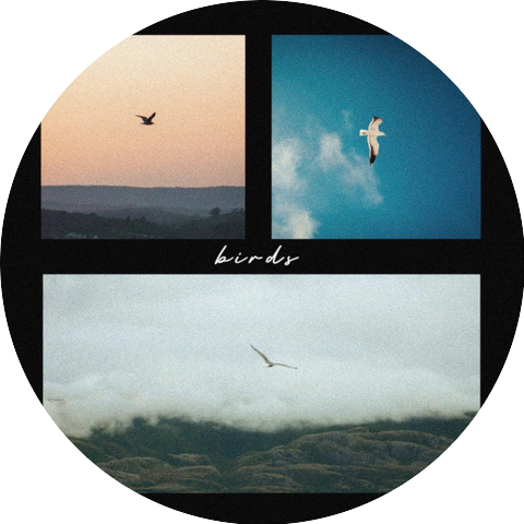 Emotion Generated Music