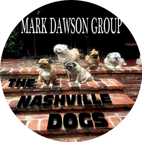 Mark Dawson Group