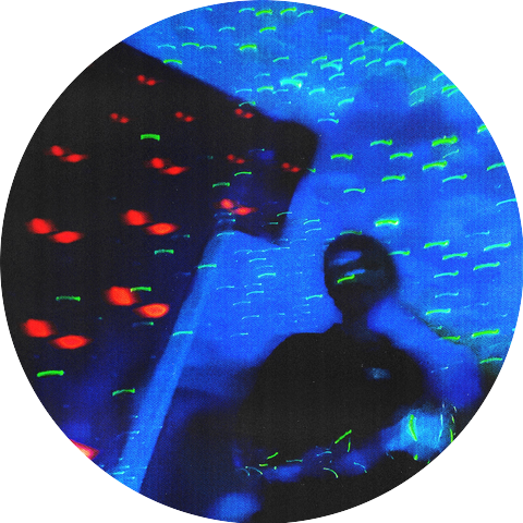 Poloroid