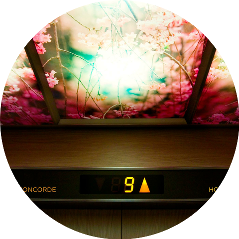 Le Concorde