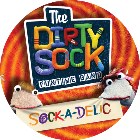 The Dirty Sock Funtime Band