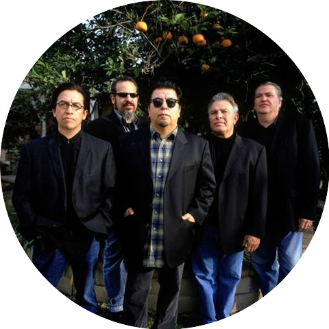 Los Lobos with Antonio Banderas