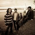 The Moondoggies