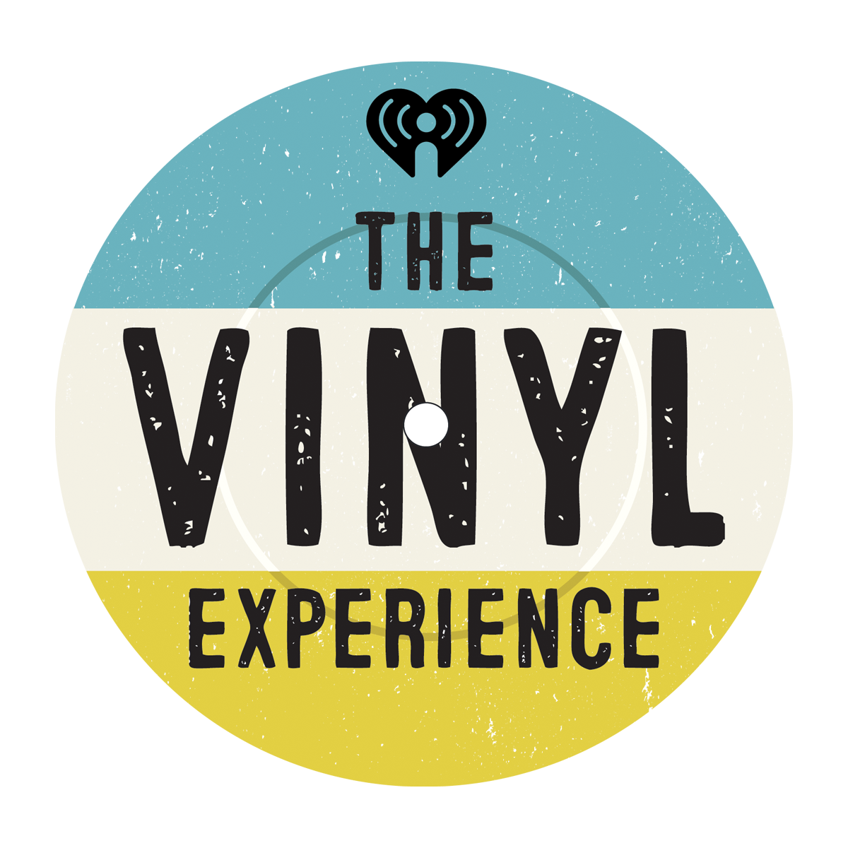 The Vinyl Experience (thumbnail)