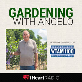 Thumbnail for Season 30 ep.34 - Gardening with Angelo 11-01-25 Podcast