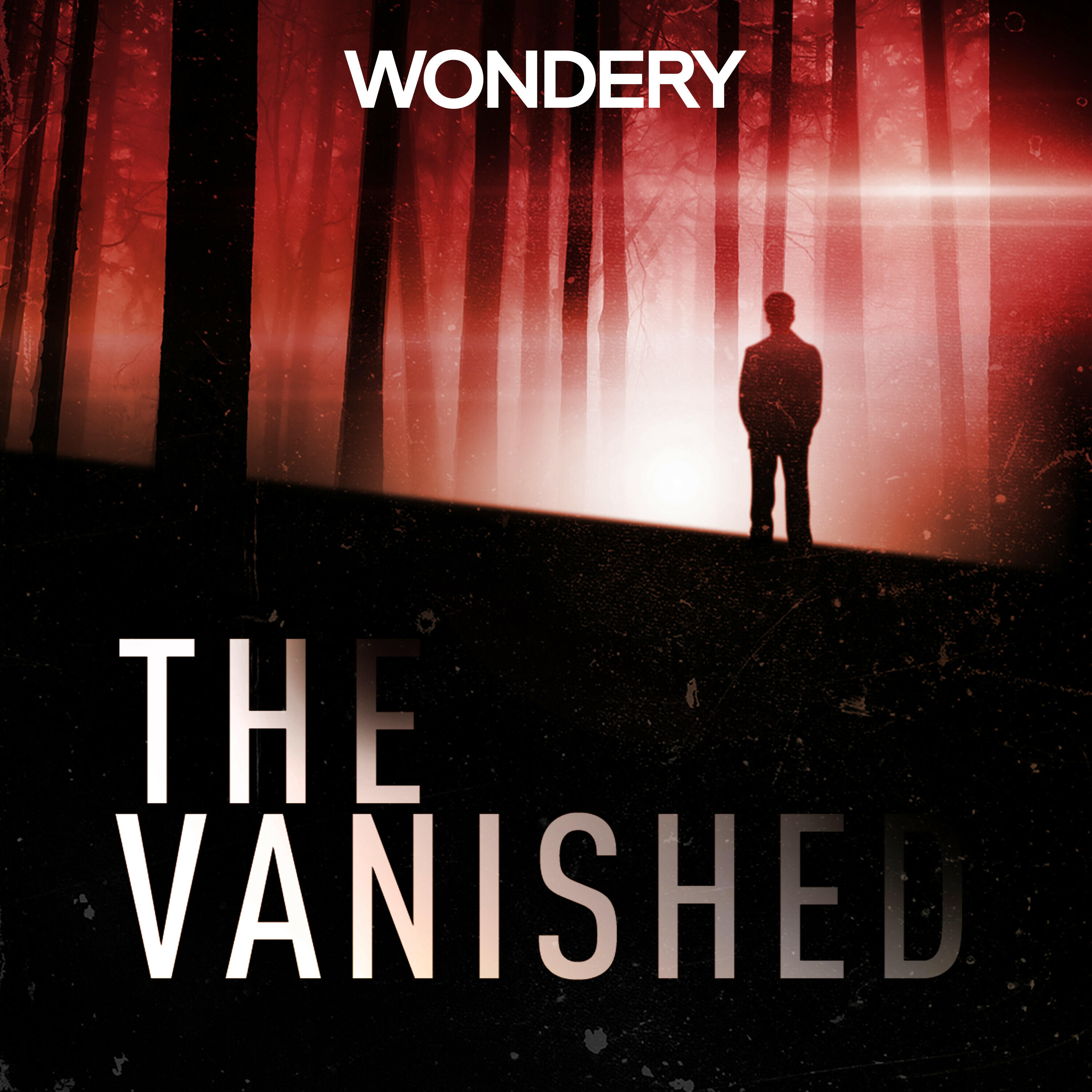 Case Update Emily Noble Part 2 The Vanished Podcast iHeart