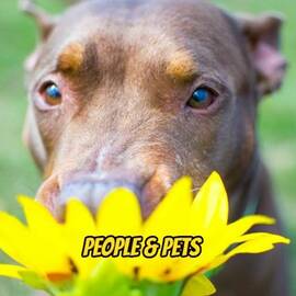 Thumbnail for People and Pets Podcast