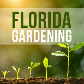 Thumbnail for Florida Gardening Podcast
