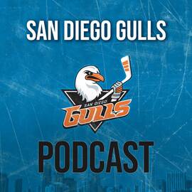 Thumbnail for GullsCast Podcast