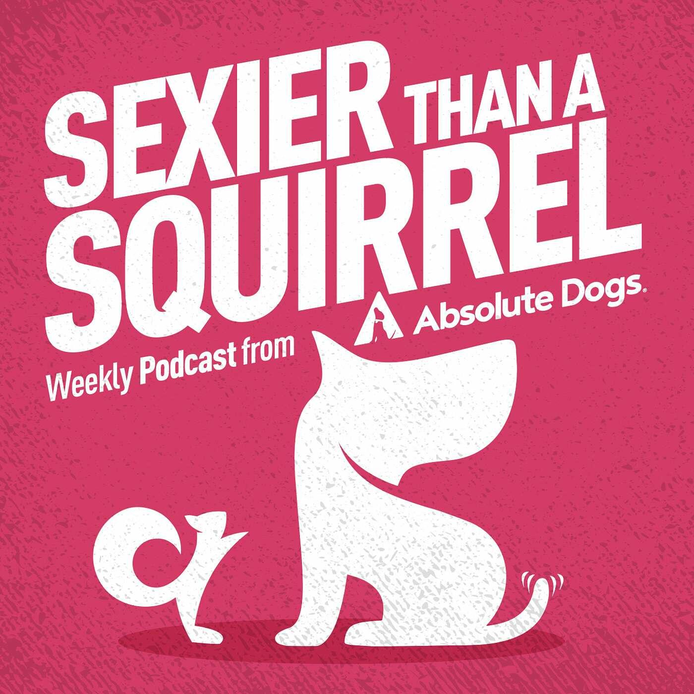 Listen Free To Sexier Than A Squirrel Dog Training That Gets Real Life Results On Iheartradio Podcasts Iheartradio