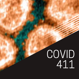 Thumbnail for Covid 4 1 1 podcast Podcast
