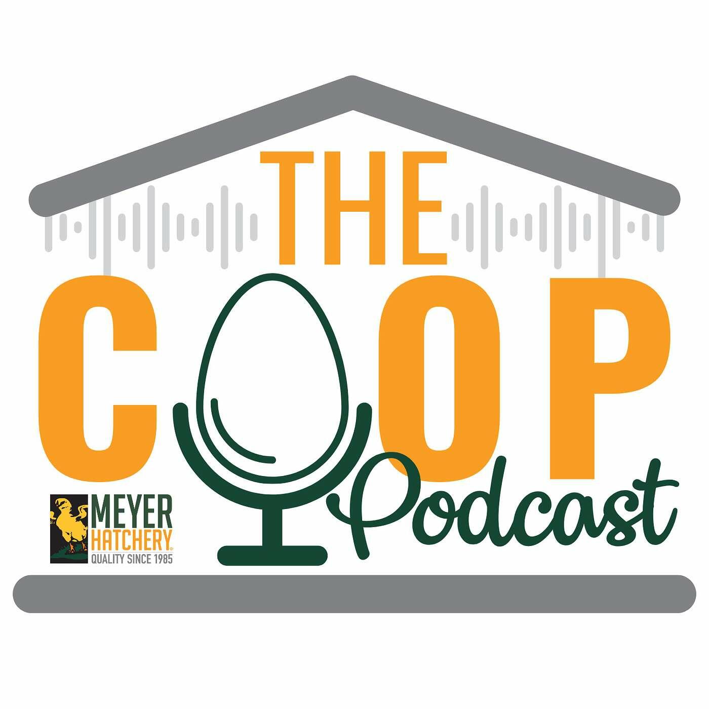 First Saturday Lime Minisode The Coop with Meyer Hatchery iHeartRadio
