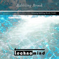 Relaxing Babbling Brook