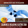 Calming and Relaxing Electric Fan