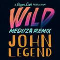 Wild [MEDUZA Remix]