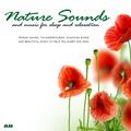 Nature Sounds and Rain for Meditation and Relaxation