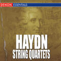 String Quartet No. 5 Op. 64 D Major - Allegro Moderato