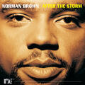 After The Storm [Album Version]