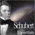 Schubert: Piano Quintet in A Major, Op. Posth. 114, D. 667 "The Trout": III. Scherzo. Presto