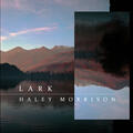 Lark