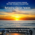Relaxing Ocean Waves: Point Reyes, California