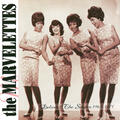 Playboy [Single Version]