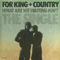 What Are We Waiting For? (The Single)