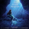 Part of Your World [From "The Little Mermaid"]