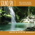 Relaxing Music and Rainforest Sounds, Part 2