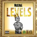Levels
