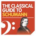 Schumann: Kinderszenen, Op. 15: No. 2, Kuriose Geschichte
