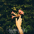 Someone like you