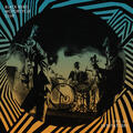 Whatever Happened To My Rock and Roll [Live]