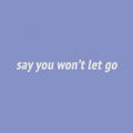 Say You Won't Let Go