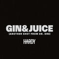 Gin & Juice [Another Shot From Dr. Dre]