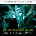 Sounds of Nature: Prairie Thunderstorm with Relaxing Rainfall [Bonus Track]