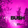 Little Things by Bush