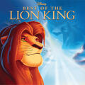 Can You Feel the Love Tonight [From "The Lion King" / Soundtrack Version]