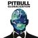 Time of Our Lives by Pitbull