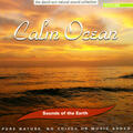 Calm Ocean