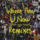 Where Are Ü Now (with Justin Bieber)
