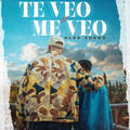Te Veo y Me Veo
