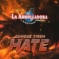 Aunque Tiren Hate