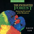 Enchanted Forest, Pt. 1