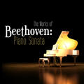 Piano Sonata No. 14 in C-Sharp Minor, Op. 27/2 "Moonlight": I. Adagio sostenuto