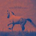 Year of the Horse