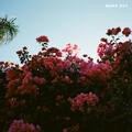 ILYSB [STRIPPED]